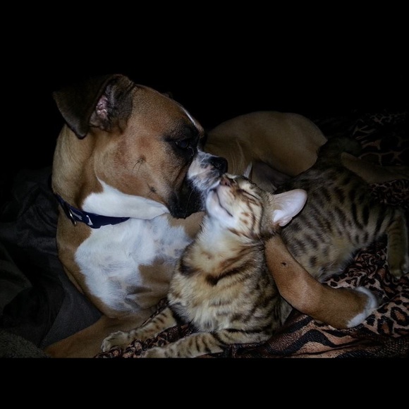 Meet your Posher, Shelley primeau - Picture 10 of 17